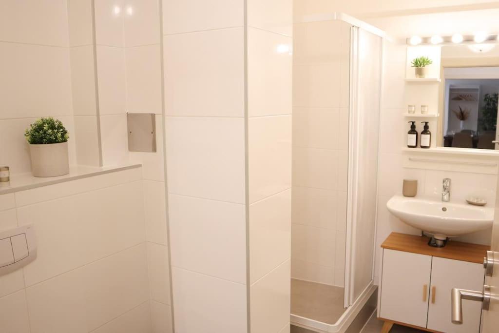 Charming, Modern & Spacious Viena